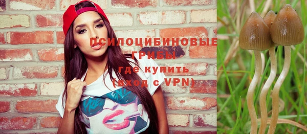 Альфа ПВП Арсеньев