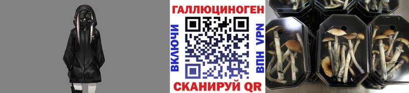 МЕГА зеркало  Олонец  Псилоцибиновые грибы мухоморы 